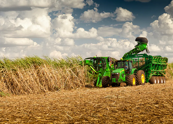 Cosechadora de Caña CH570 - Imagen 3