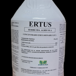 ERTUS